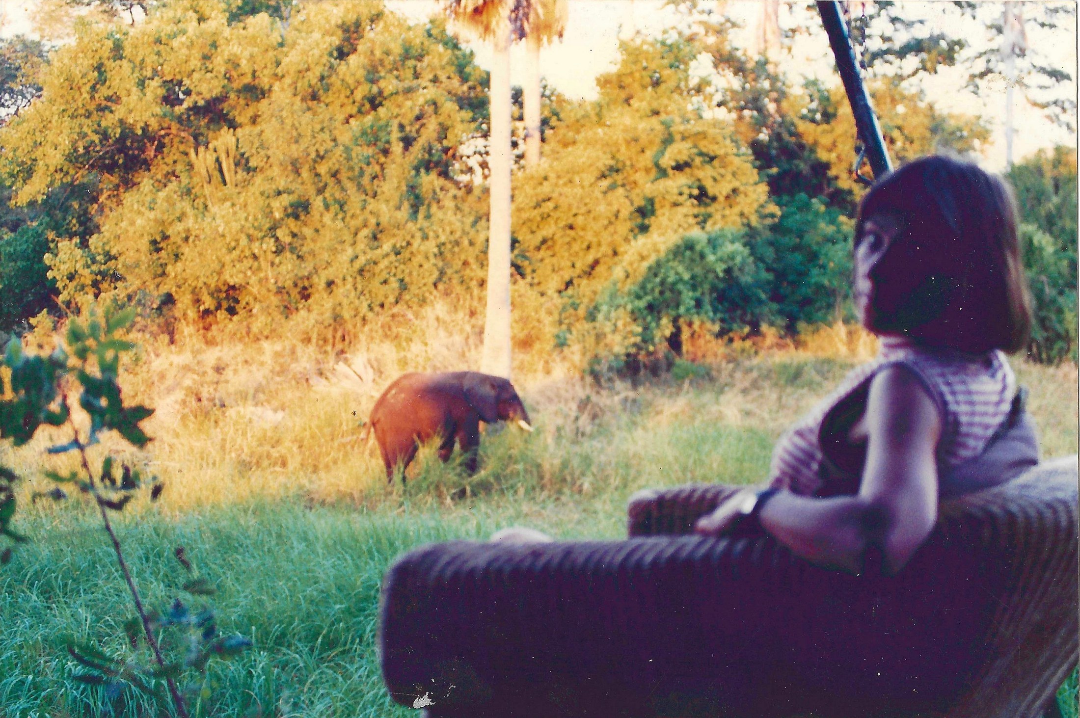 Pam Badger, co-founder of Central African Wilderness Safaris, at Mvuu Lodge, circa the mid-1990s.