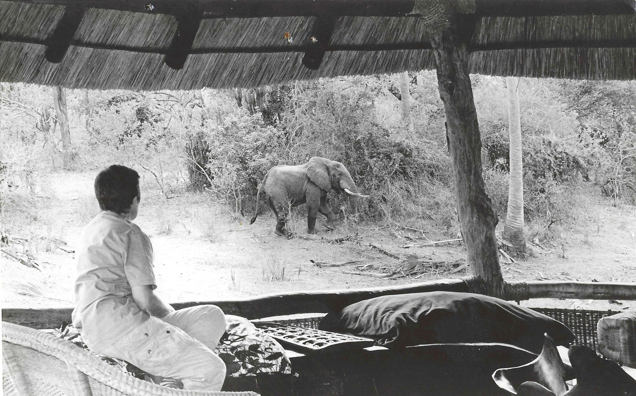 Watching an elephant from the Mvuu Lodge upper deck.
