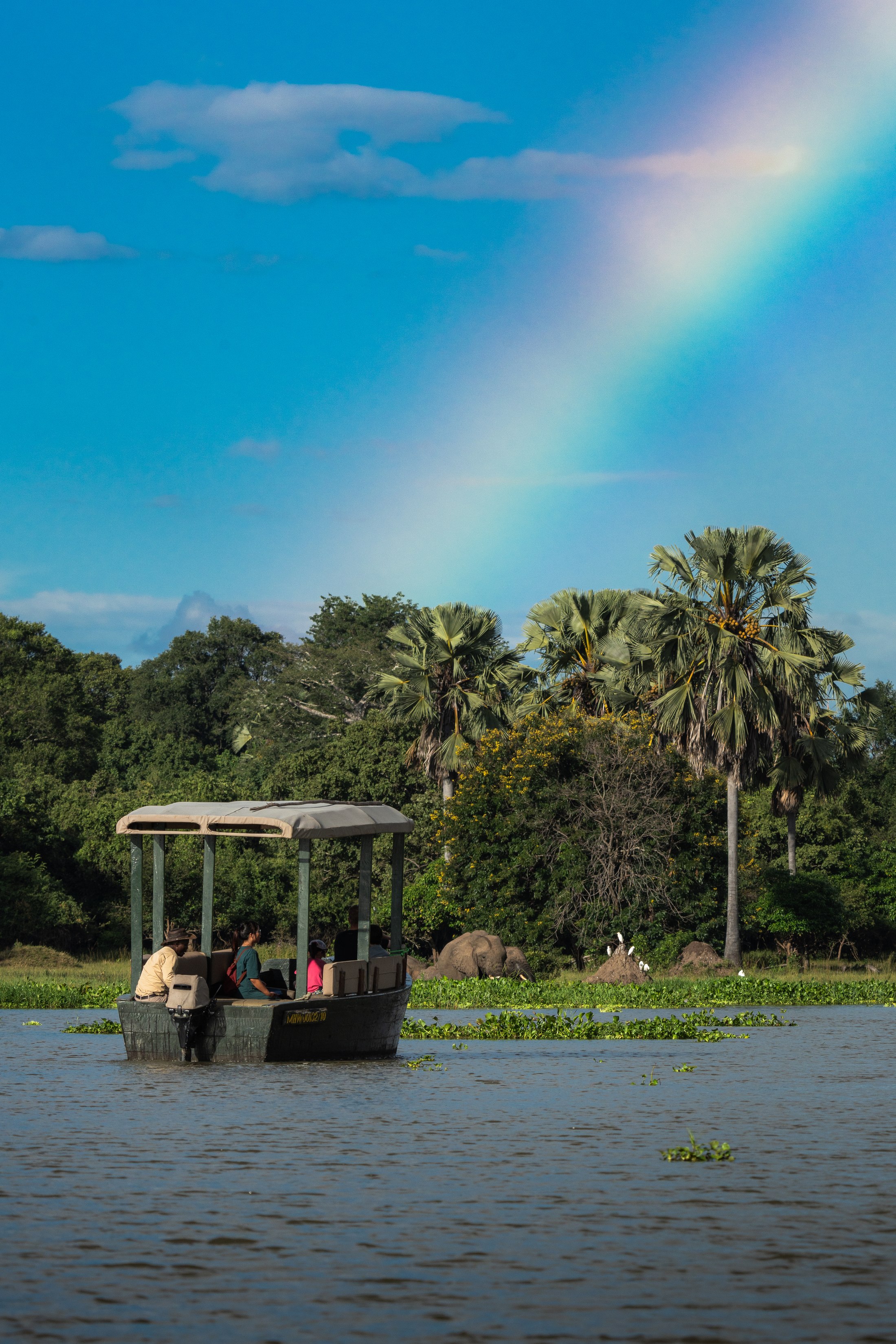 A boat safari beneath a rainbow.