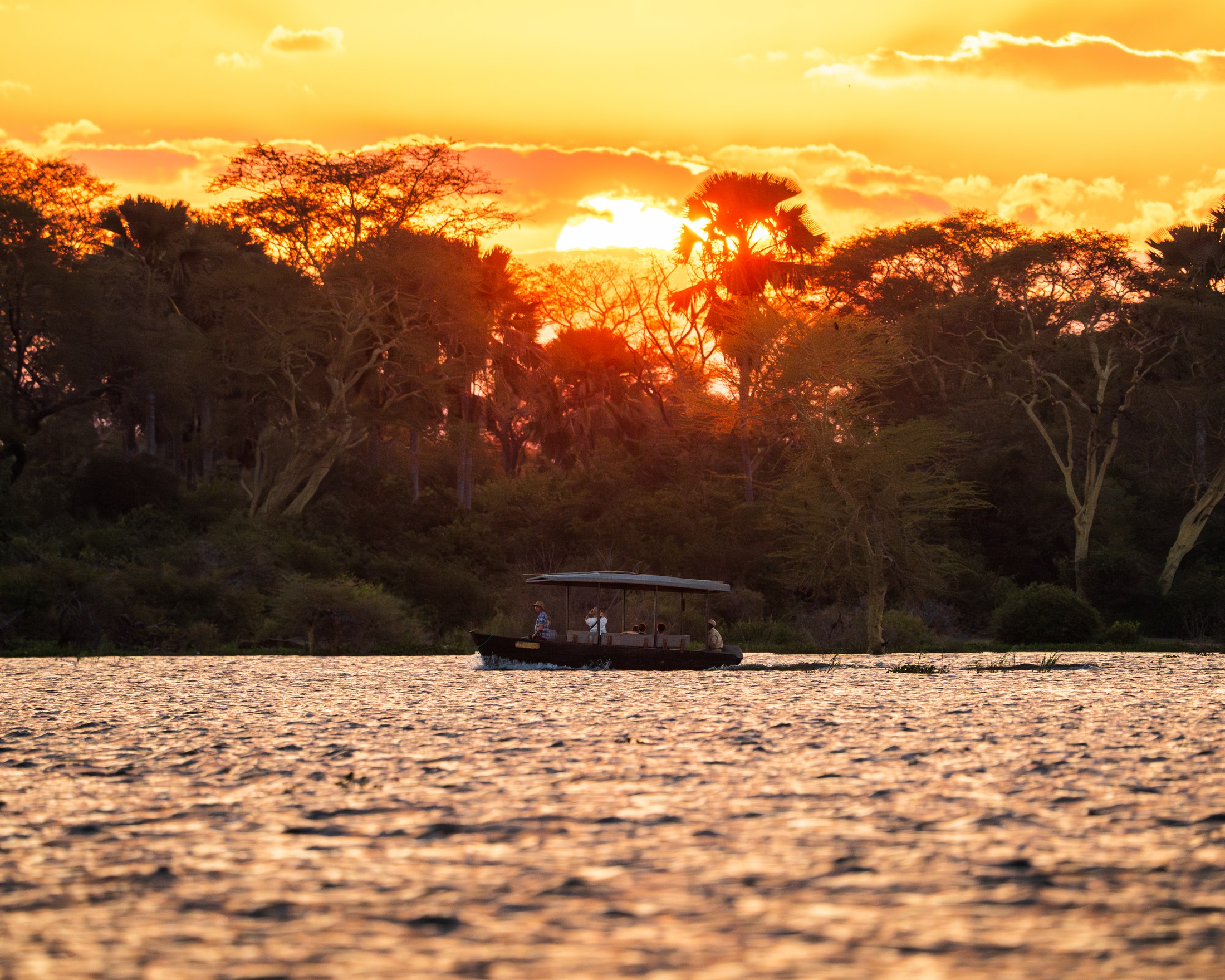 A boat safari on the Shire at sunset, with palms on the riverbank.