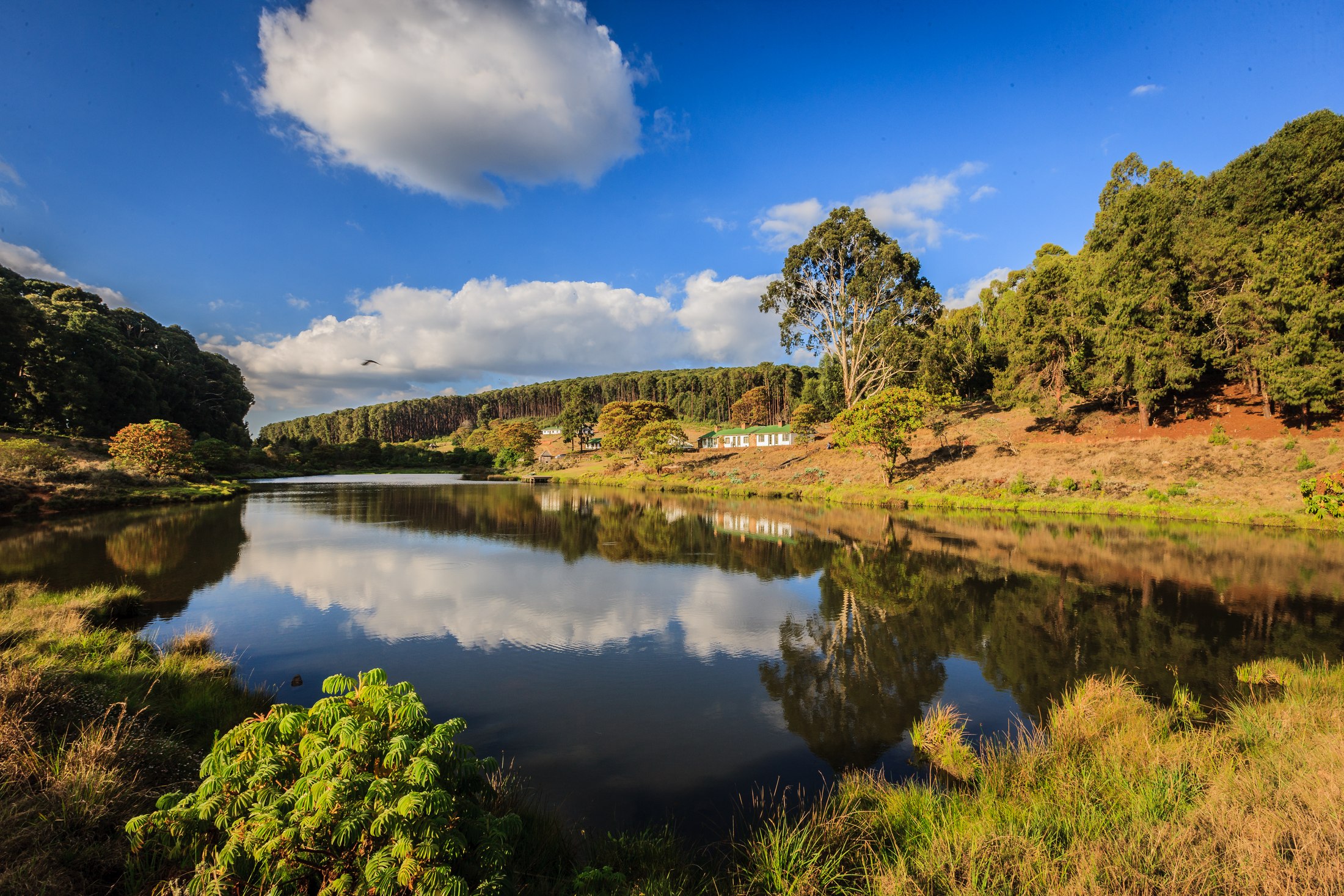Chelinda Camp beside the dam on a sunny day.