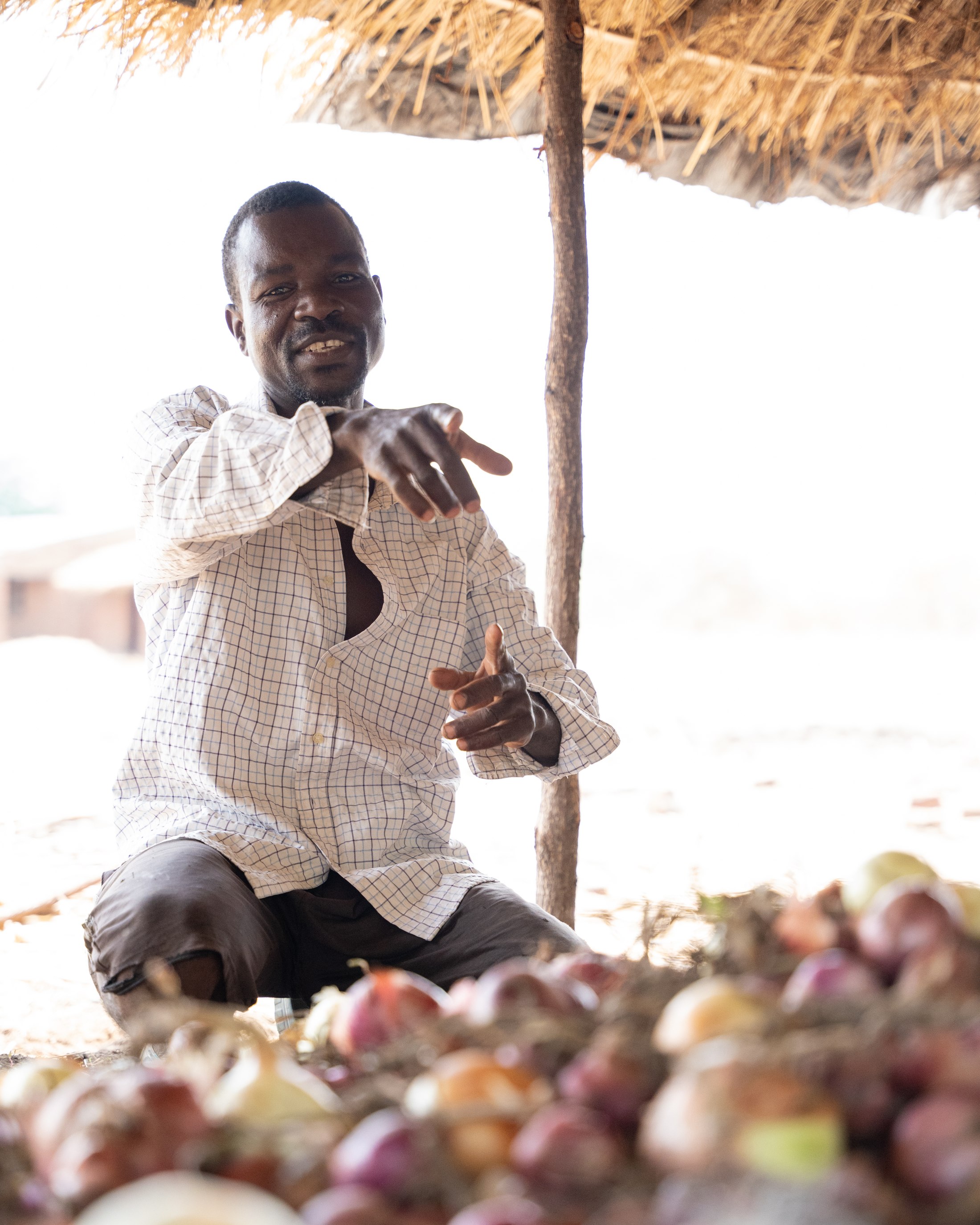A local grower with an onion harvest.