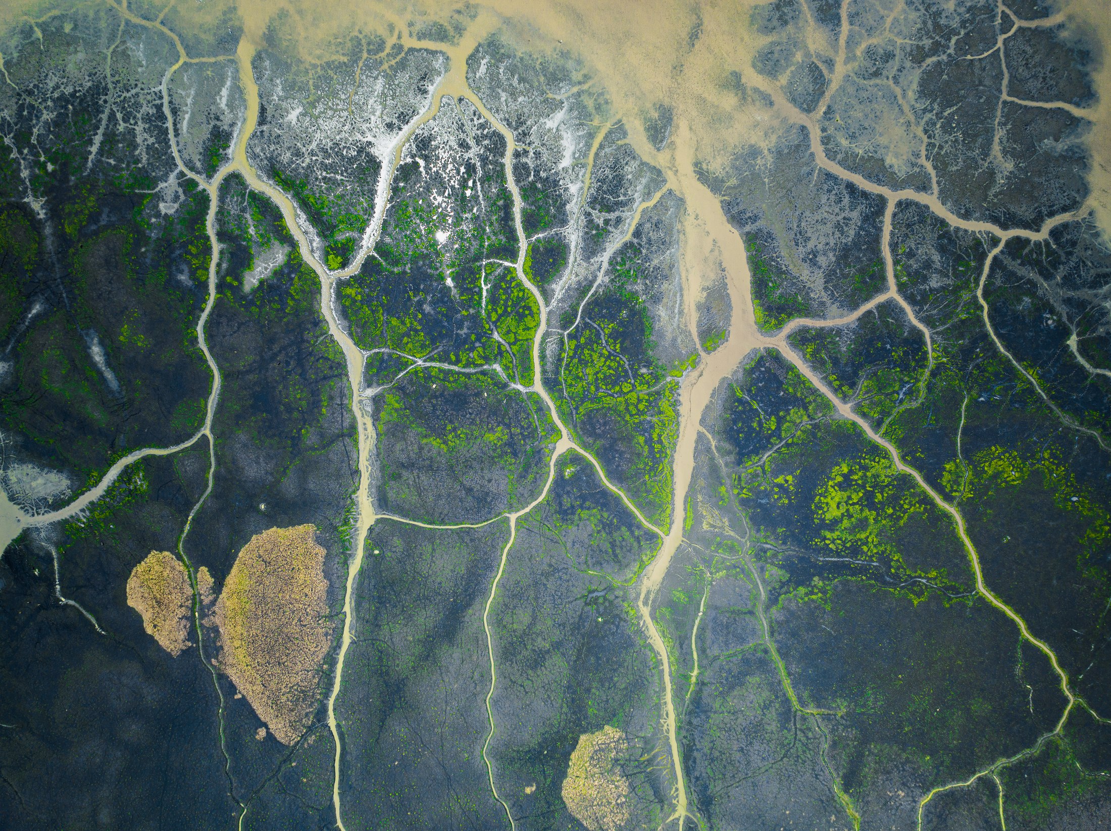 River channels winding through the Liwonde floodplain.