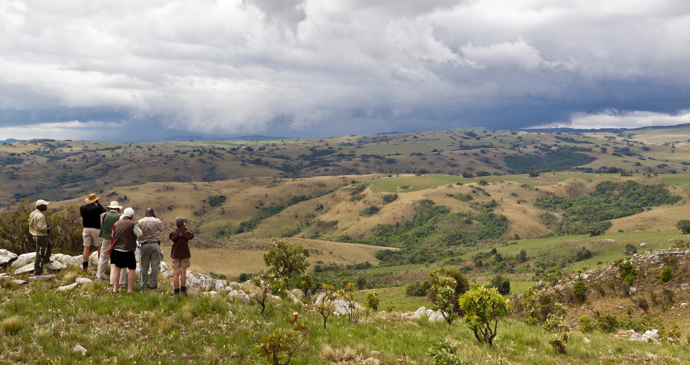 A guided walking safari overlooking the Nyika Plateau.