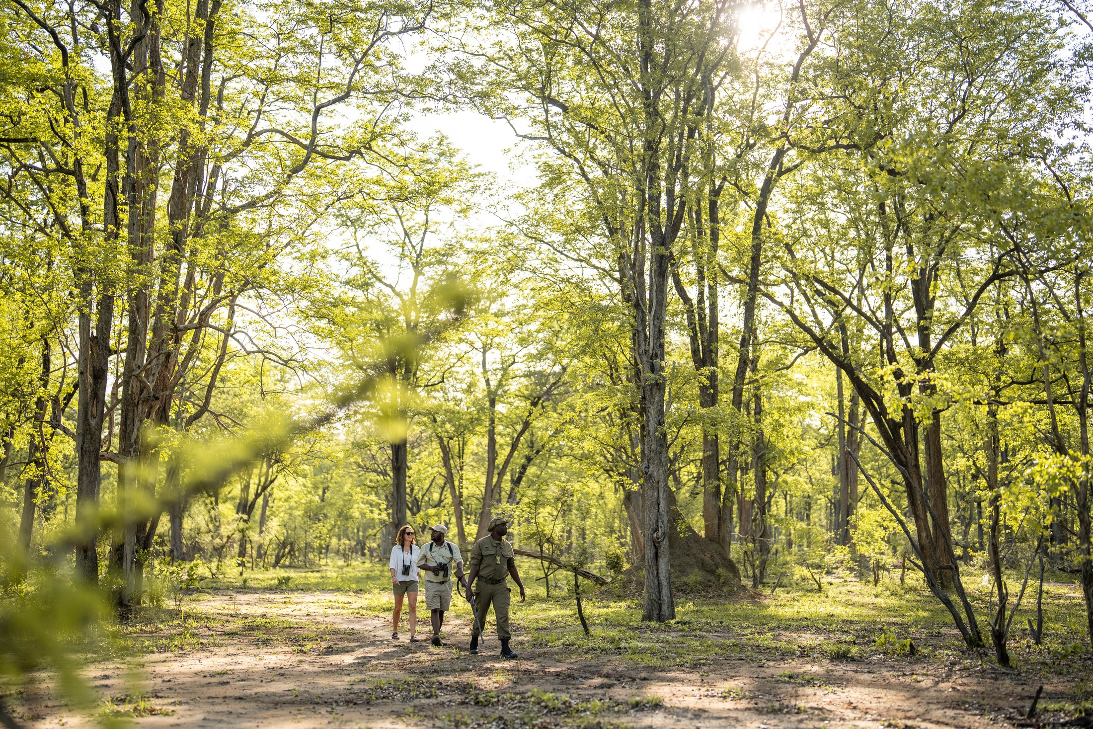 Chifundo, a guest and an African Parks ranger walking through woodland.
