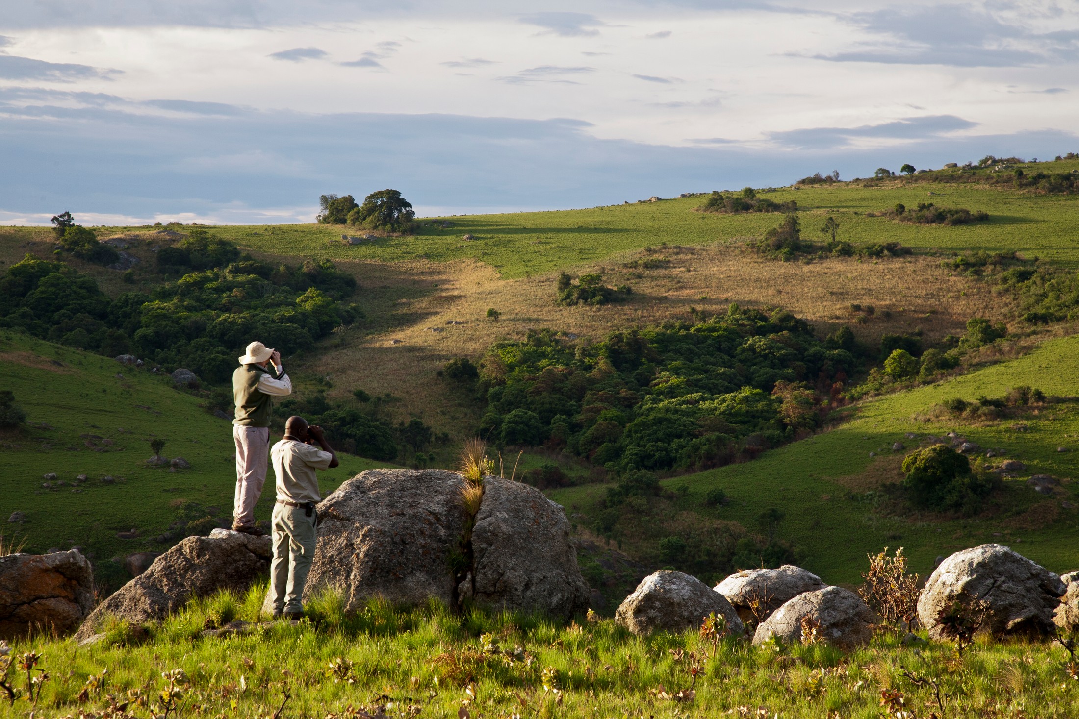 Trails in Nyika National Park · Caroline Culbert