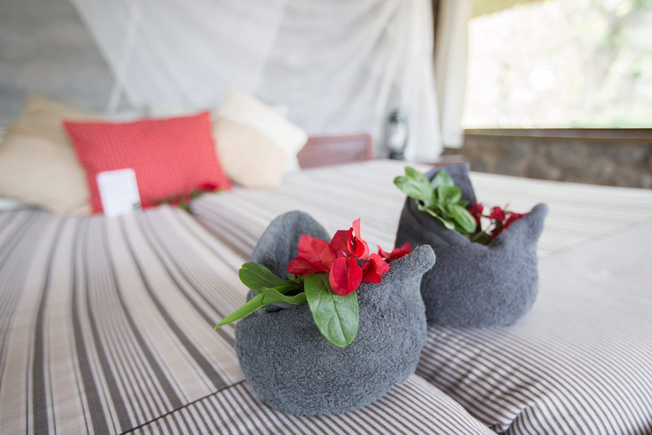 A welcoming detail in a Mvuu Camp chalet · Juliet Lemon.
