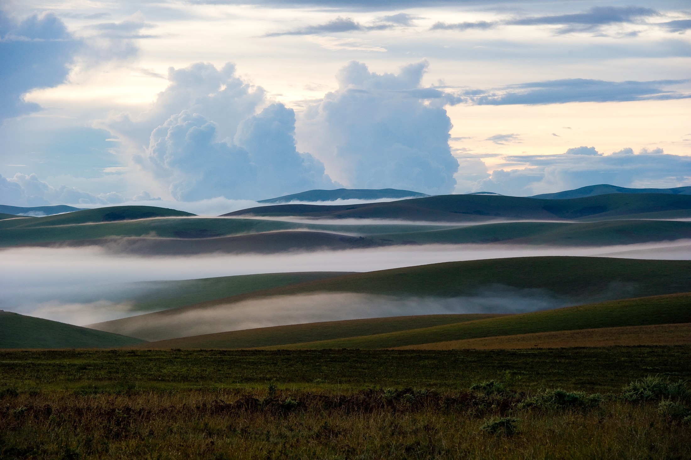 Morning mist across the Nyika highlands · Dana Allen.
