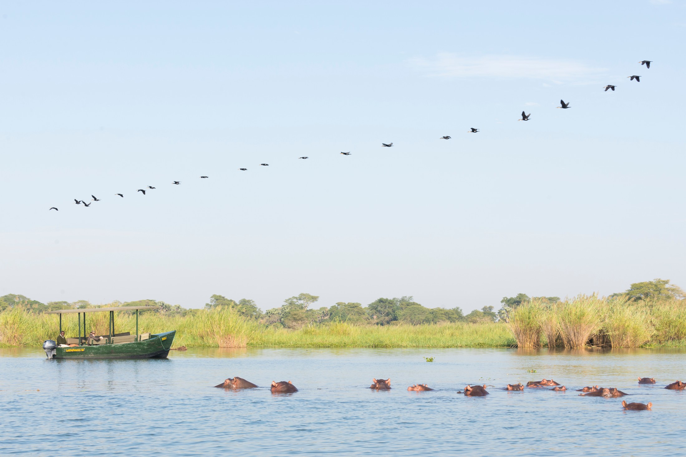 A boat safari among hippos and river birds at Mvuu.