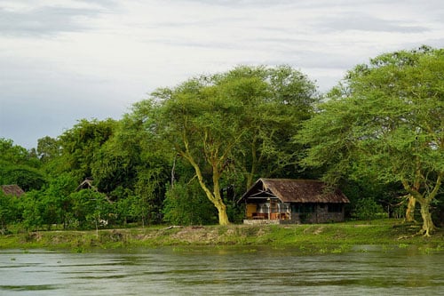 Mvuu Campsite — photo 2